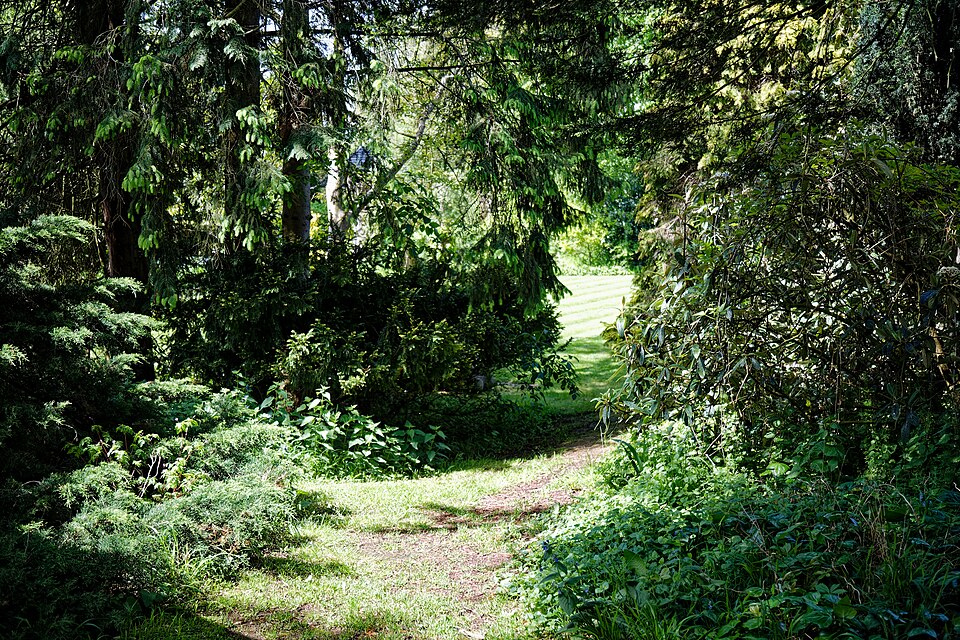 Landscaping · illustrative photography